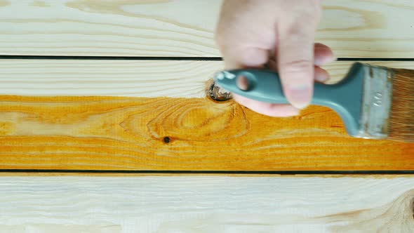 The painter applies wood stain on wooden board on the workshop background