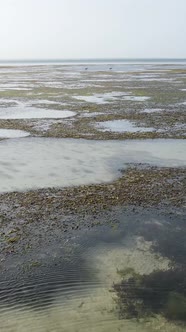 Vertical Video of Low Tide in the Ocean Near the Coast of Zanzibar Tanzania