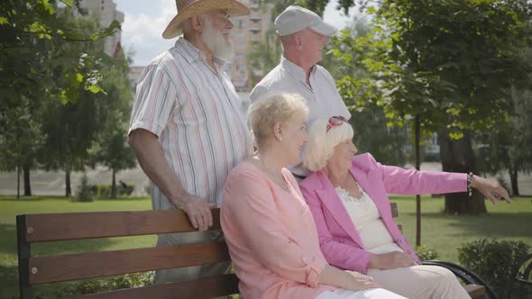 Two Adorable Mature Couples Talking and Smiling at the Bench in the Summer Park