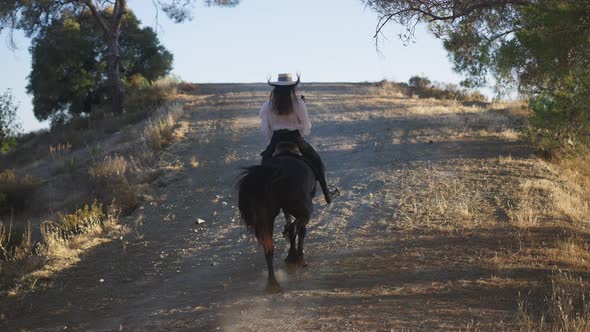 Back View of Graceful Horse Galloping Up the Hill with Female Equestrian on Back