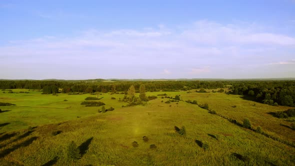 A forest area in the rays of the evening sun