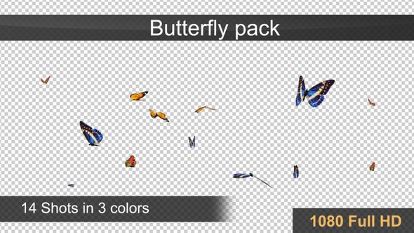 Flying Batterfly Pack