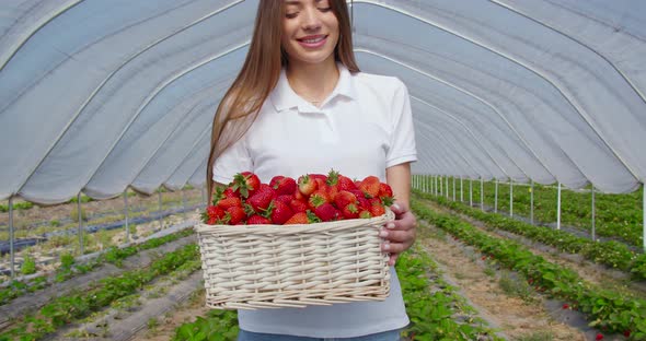 Pleasant Lady Holding Basket with Strawberries at Farm Field