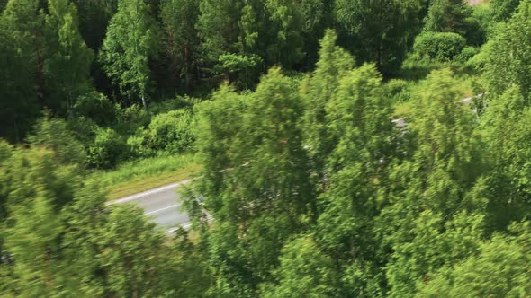 Aerial View of a Driving Car on the Road in a Field in Sunny Weather