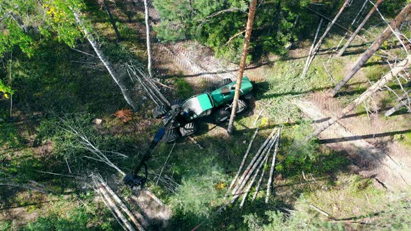 View From Above of the Harvesting Machine Processing Lumber