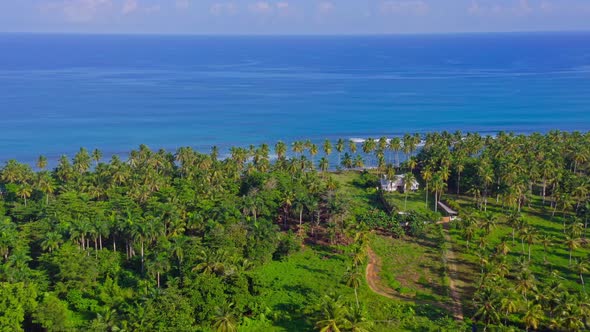 Turquoise Sea Waters And Lush Vegetation At Coson Beach In Dominican Republic - aerial drone shot