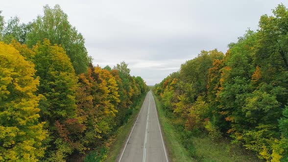 Aerial Video of Autumn Forest and Road