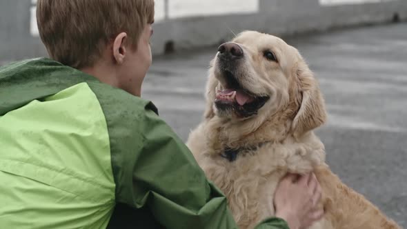 Child Bonding with Big Labrador Dog