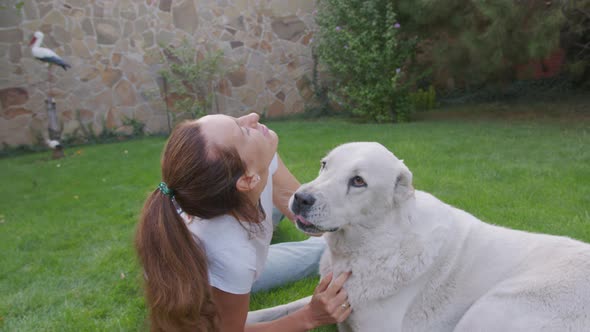 Smiling Lady Taking Free Time with Her Dog. Woman Relaxing in the Nature with Her Big Dog