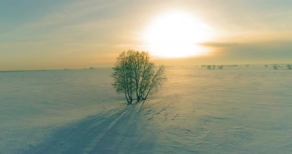 Aerial View of Cold Winter Landscape Arctic Field Trees Covered with Frost Snow Ice River and Sun