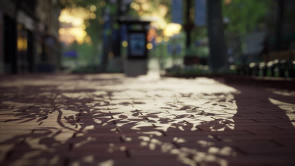 Quiet City Park with Trees and Benches