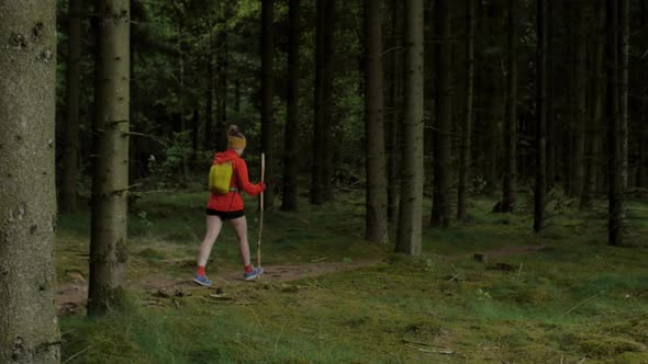 active female hiker woman walking outdoors on a trail in the woods