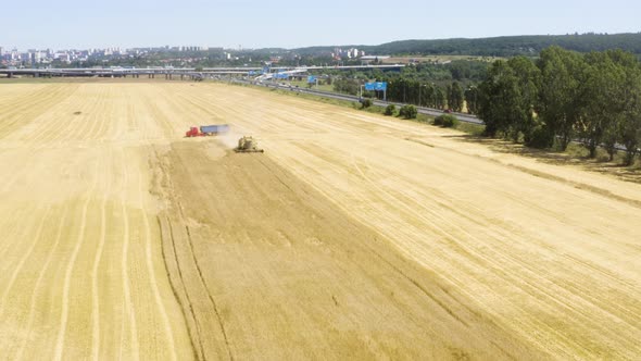 Aerial Drone Shot  a Combine Harvester Works in a Field in a Rural Area on a Sunny Day