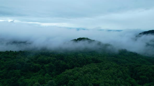 4K Aerial Drone shot flying over beautiful mountain ridge in rural jungle bush forest.