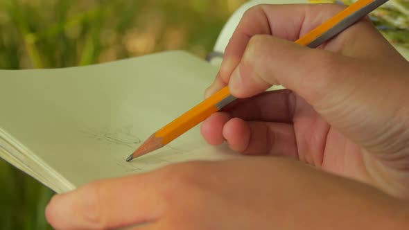 Detail of a woman painter/artist painting a picture of a wildflower, outdoors in the forest