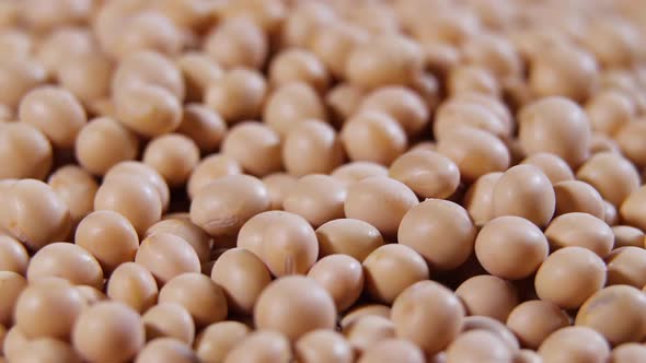 Raw Soy Bean Top View Texture High in Fiber Supplementary Food Protein Healthy Food Soybeans Organic