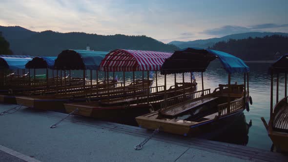 Moored Traditional Pletna Boats in Long Row at Bled Lake