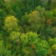 Aerial Video of Autumn Forest on a Cloudy Day - VideoHive Item for Sale