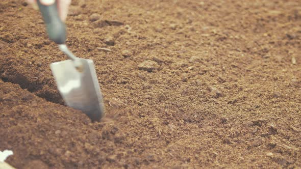 Making row in compost soil with trowel to sow seeds CLOSE UP