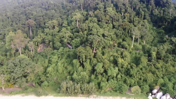 A drone video flying outward from an empty Tioman tropical island with full of trees and tropical fo