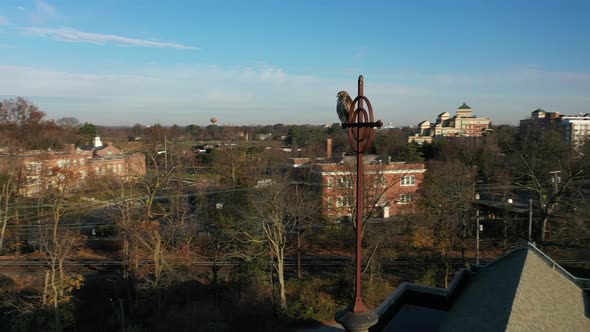 A close-up shot of a red tail hawk perched on a metal cross on top of a church roof. The camera truc