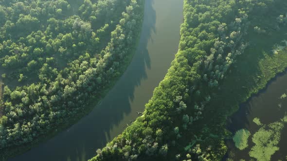 Aerial View of Winding River in Forest