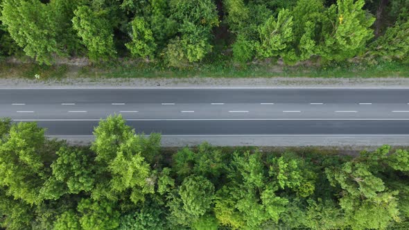 Slow Flight High Above the Road That is Between the Trees