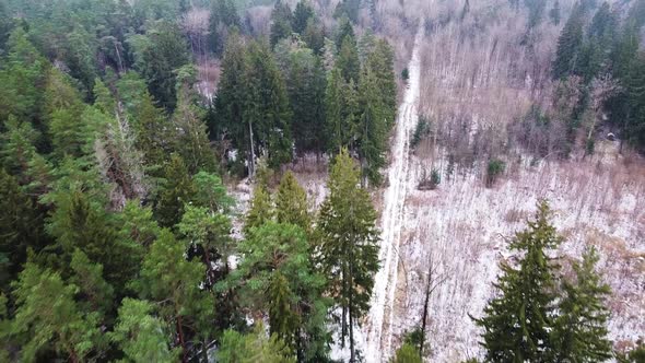 Flying over snow-covered winter forest in early winter. Aerial drone nature shot. Frozen path. Drone