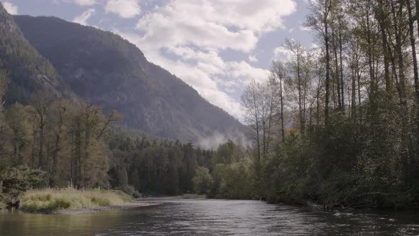 Still Shot of Salmon River in Summer