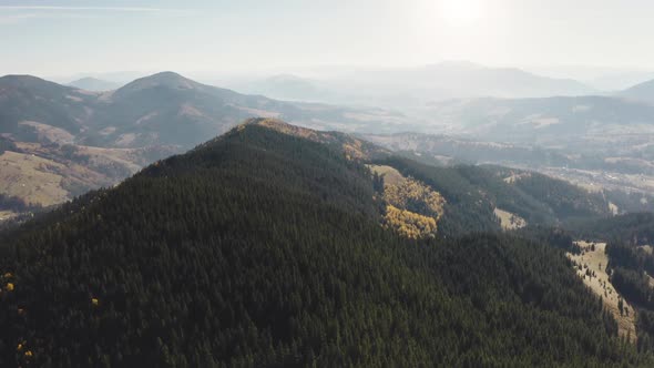 Pine Forest Sun Mountain Aerial