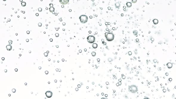 Super Slow Motion Shot of Rising Various Bubbles in Water Isolated on White Background at 1000 Fps