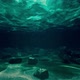 Underwater Scene - VideoHive Item for Sale