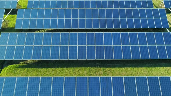 Aerial View of Solar Panels Farm (Solar Cell) with Sunlight