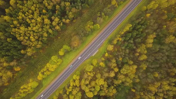 Aerial Top Down Cars Driving Along Straight Country Road Through Autumn Forest. Fall Season Colors alt