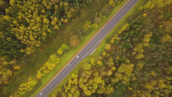 Aerial Top Down Cars Driving Along Straight Country Road Through Autumn Forest. Fall Season Colors