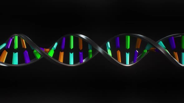 DNA Strand Building