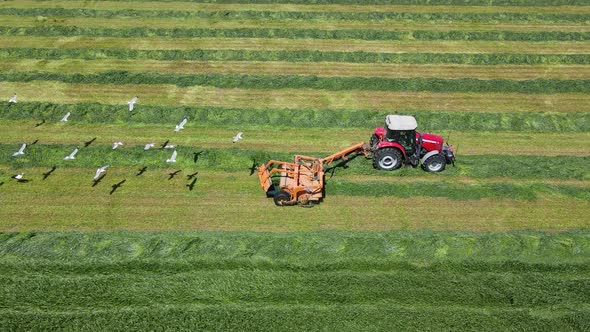 Agriculture And Birds