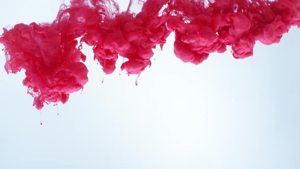 Pink Ink Drops Falling in Water alt