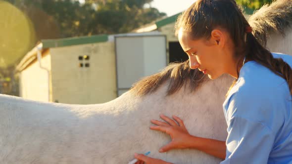 Veterinarian doctor giving an injection to the horse 4k