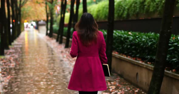 Businesswoman walking on walkway