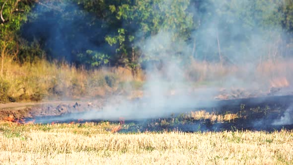 Small Fire on the Field