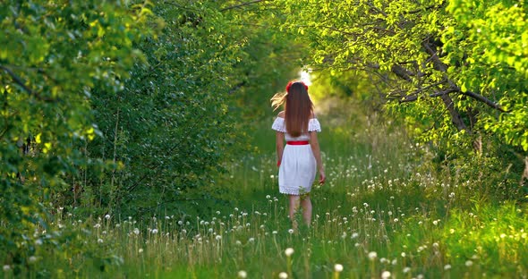 Beautiful Woman in a White Dress is Walking on the Grass a Lot of Dandelions in the Park