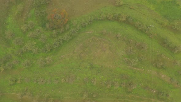 Terraces of Mountainous Dagestan an Agricultural Miracle in Remote Areas