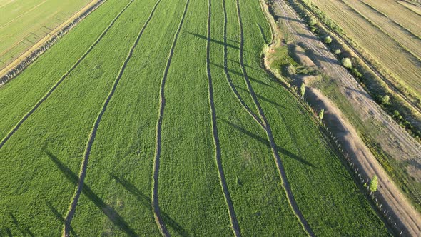 green fields backgrounds