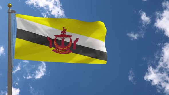 Brunei Flag On Flagpole