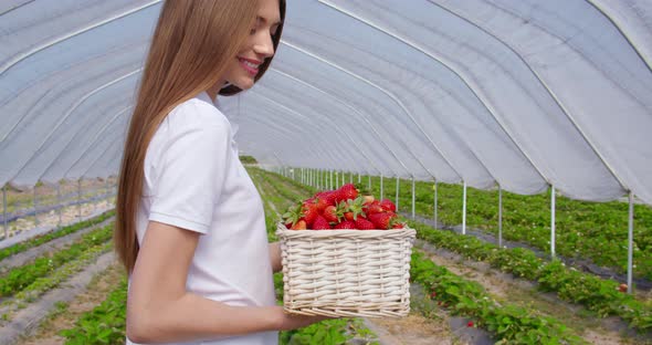 Young Woman Holding Basket Full of Fresh Ripe Strawberries