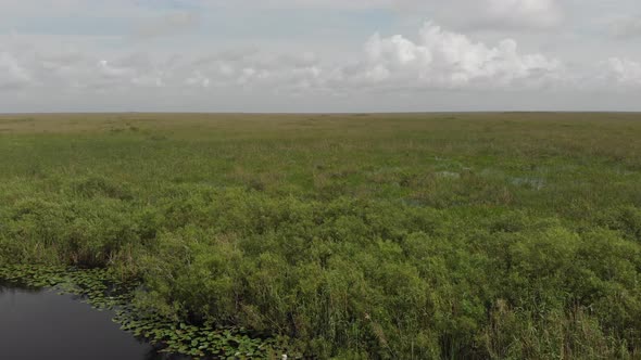 Florida Everglades aerial flying North from Alligator Alley I75