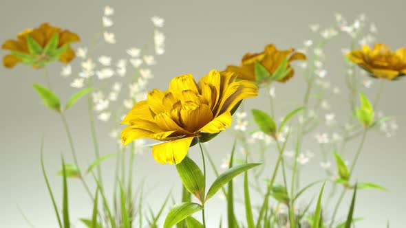 Blooming Yellow Roses