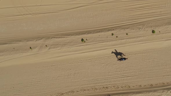 Aerial view of one person riding horse in the desert of Al Khatim in Abu Dhabi.