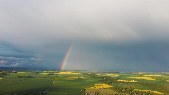 The Rainbow Over Agriculture Landscape Many Fields of Yellow Rapeseed Aerial View 4K